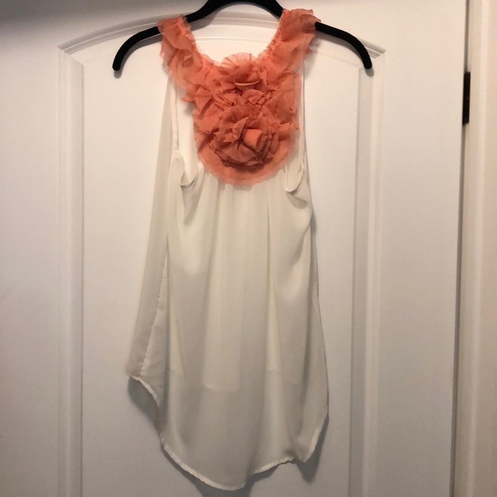 Beautiful Sheer Top with Flower Detailing